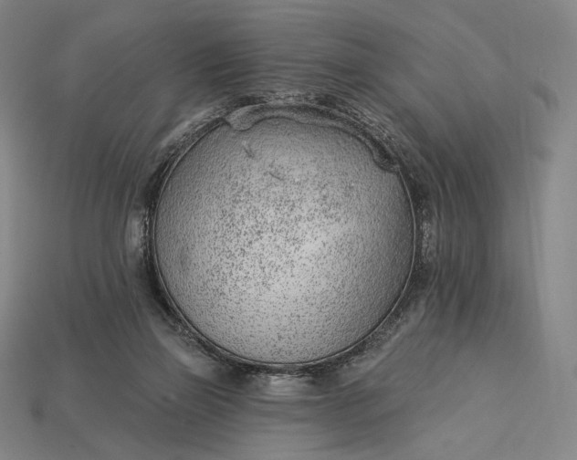 X0000115230165200911131651