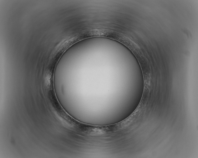 X0000115230166200911131651