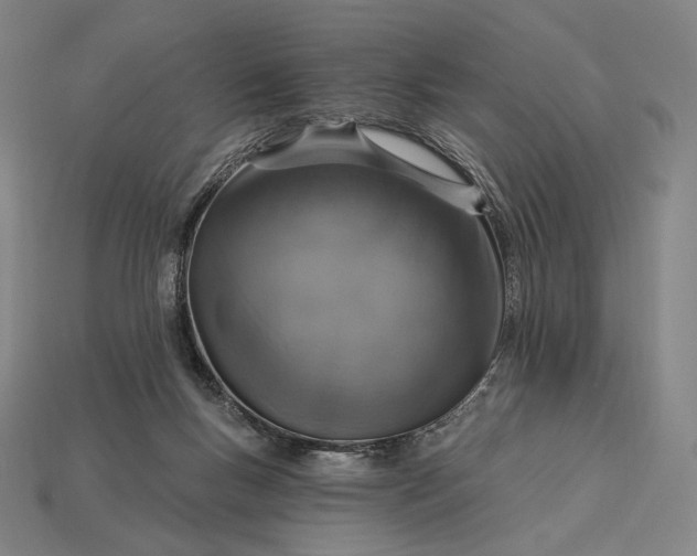 X0000115230167200911131651