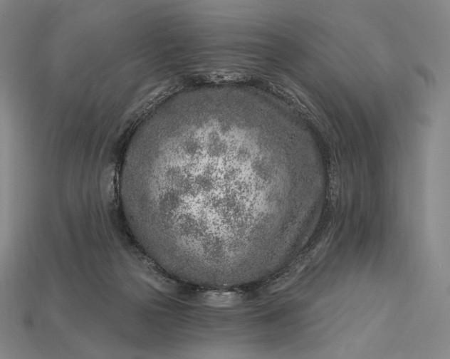 X0000115230169200911131651