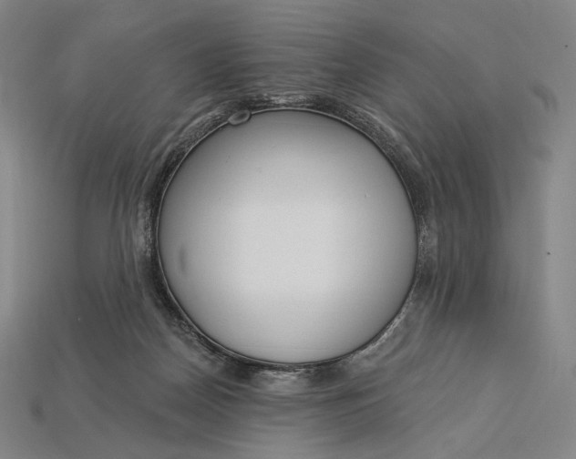 X0000115230170200911131651