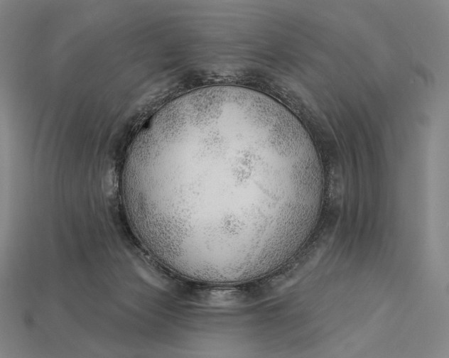 X0000115230173200911131651