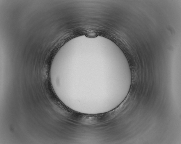 X0000115230174200911131651