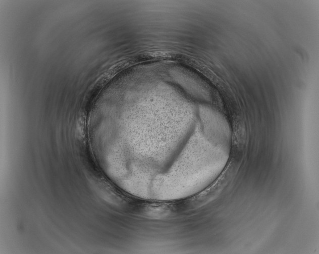 X0000115230175200911131651