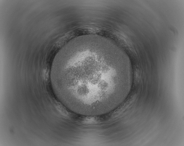 X0000115230177200911131651