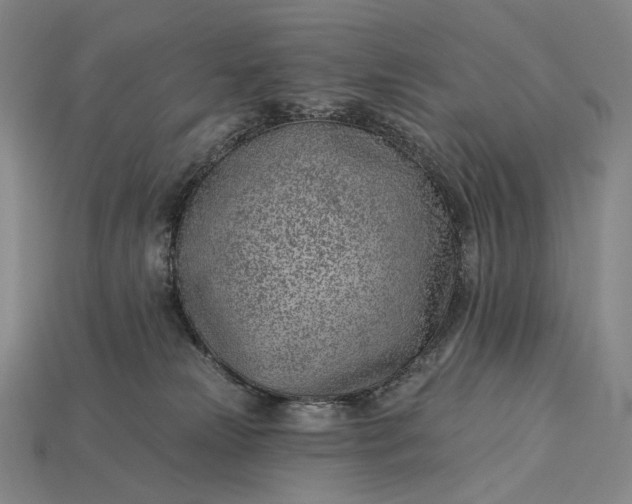 X0000115230181200911131651