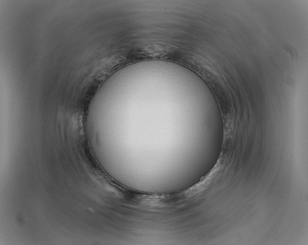 X0000115230182200911131651