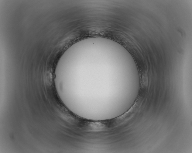 X0000115230183200911131651