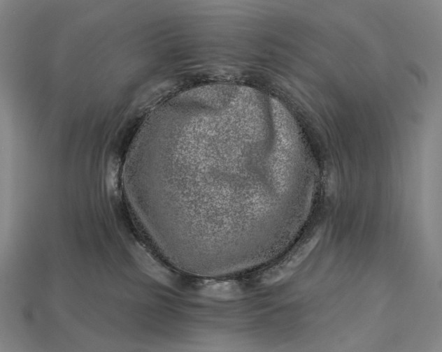 X0000115230185200911131651