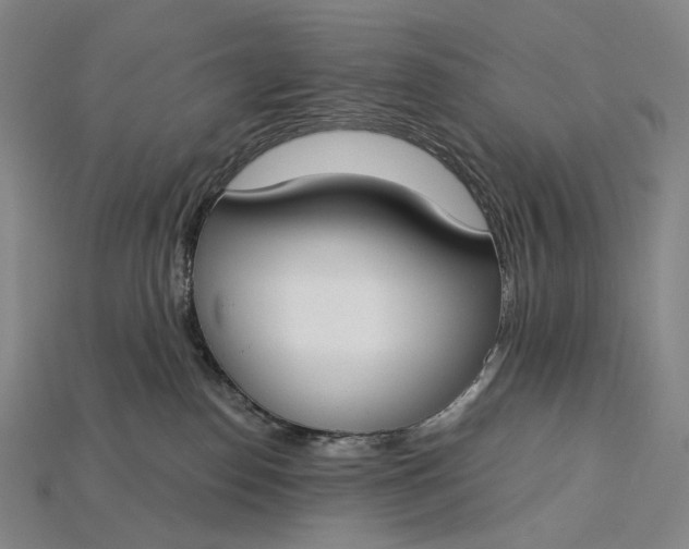 X0000115230186200911131651