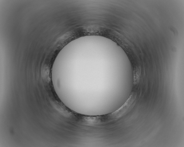 X0000115230187200911131651