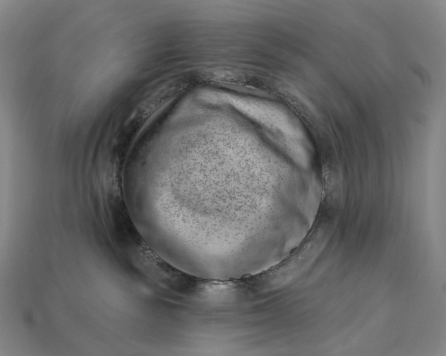 X0000115230189200911131651