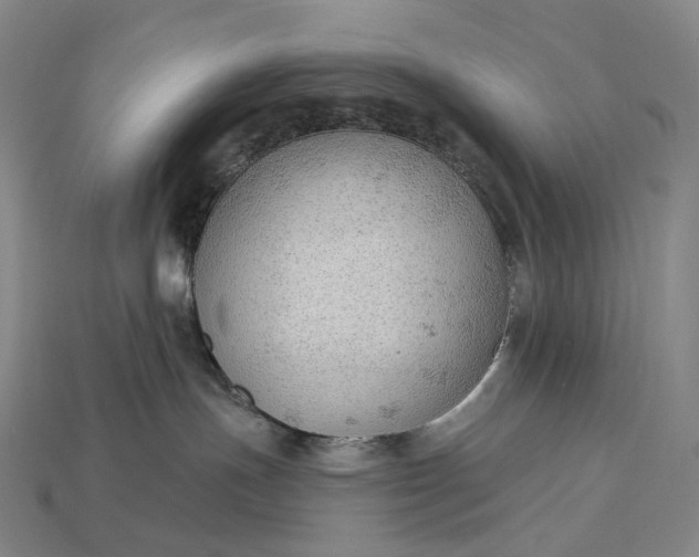 X0000115230191200911131651