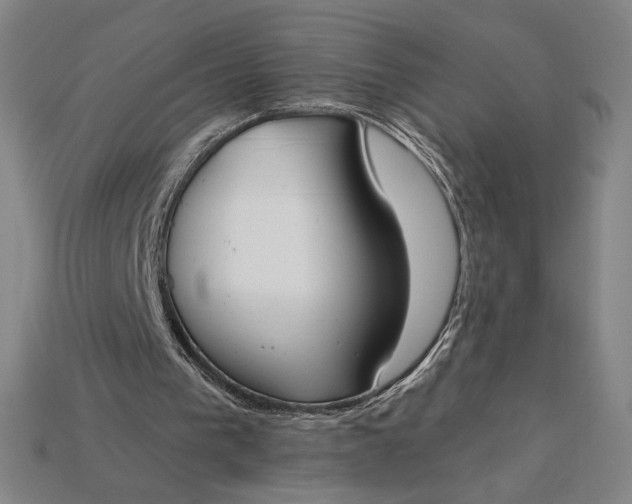 X0000115230193200911131650