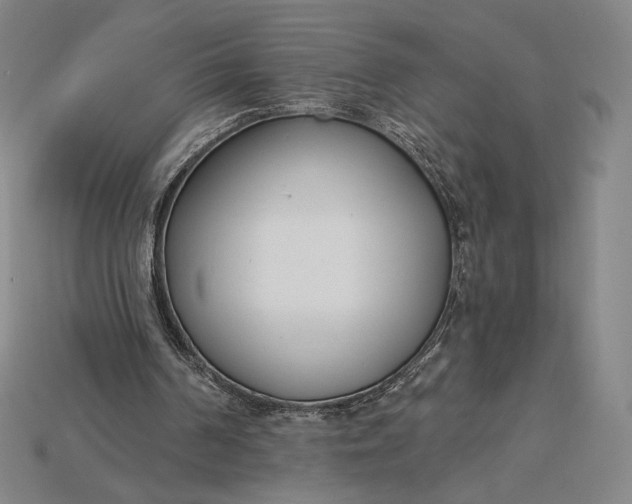 X0000115230194200911131650