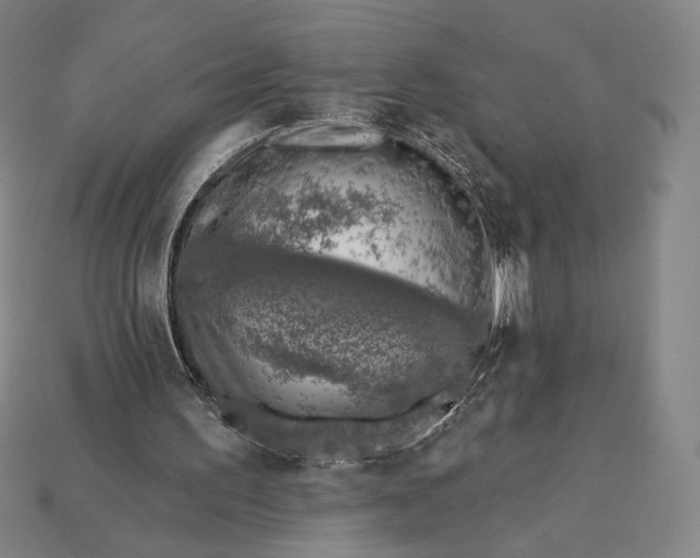 X0000115230195200911131650