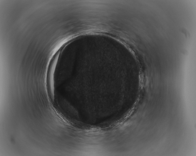 X0000115230196200911131650