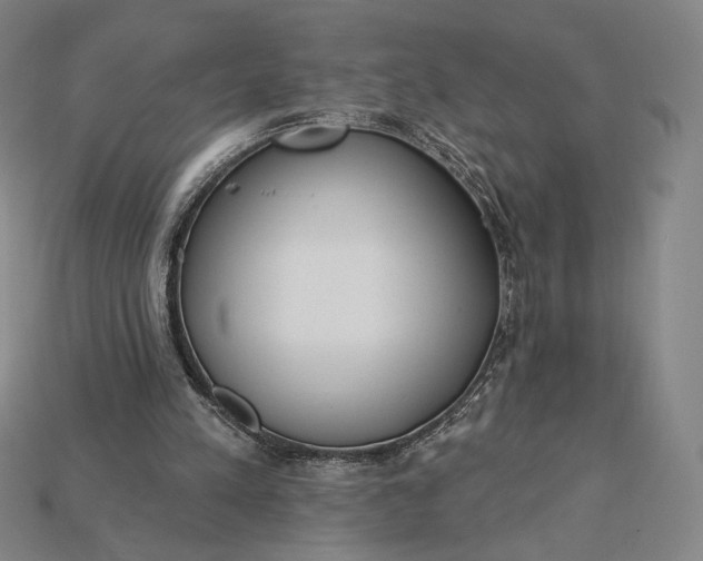 X0000115230197200911131650