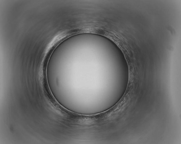 X0000115230198200911131650