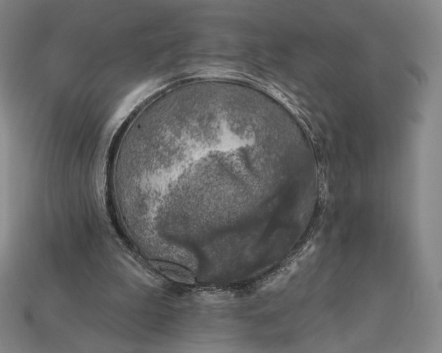 X0000115230199200911131650