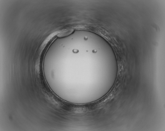 X0000115230200200911131650