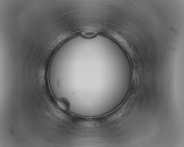 X0000115230201200911131650