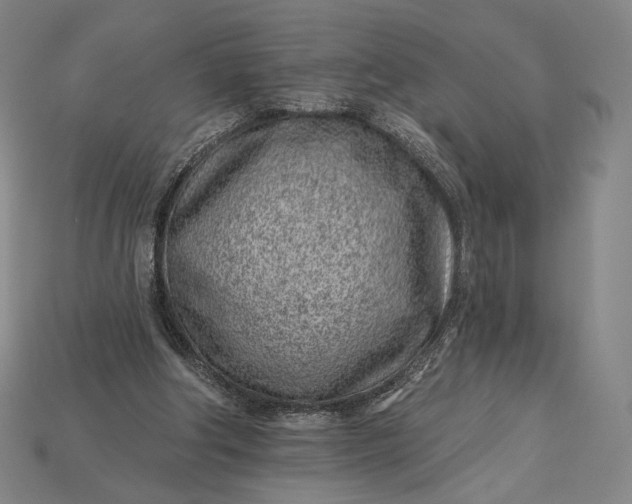 X0000115230202200911131650