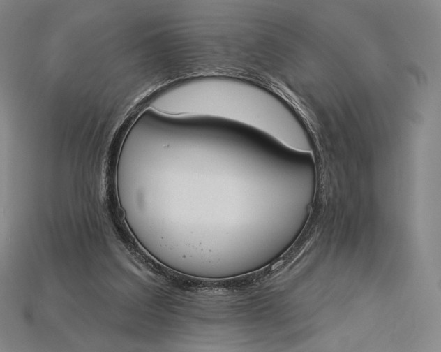 X0000115230203200911131650