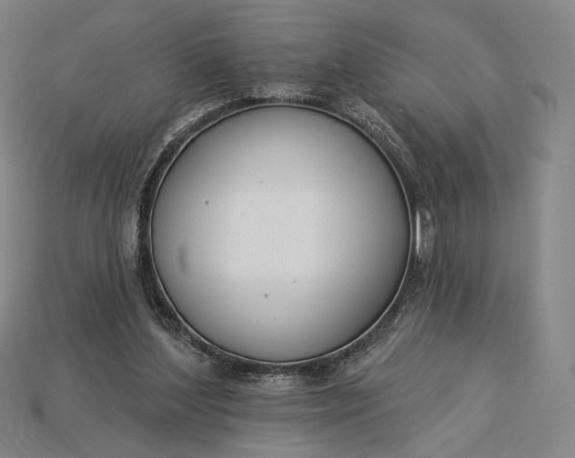 X0000115230204200911131650