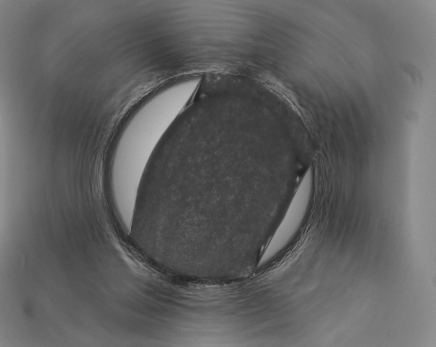 X0000115230205200911131650