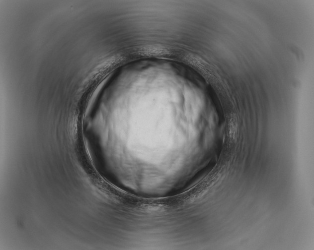 X0000115230206200911131650