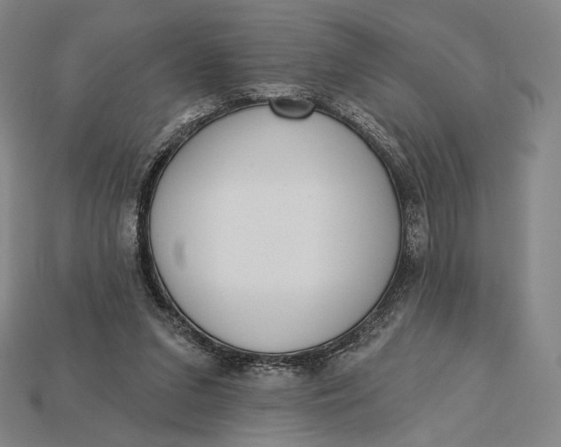 X0000115230207200911131650