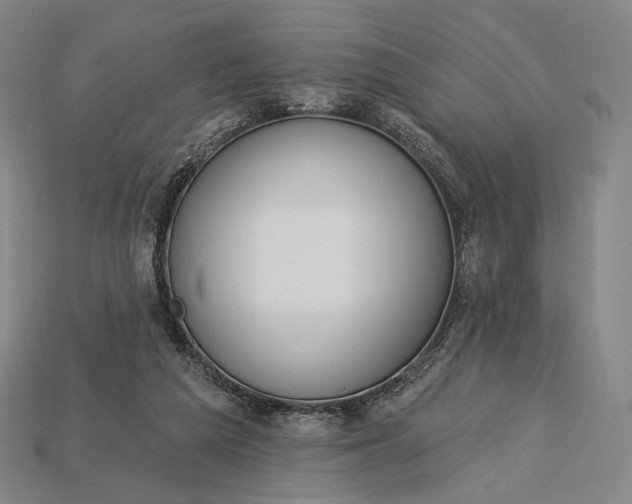 X0000115230209200911131650