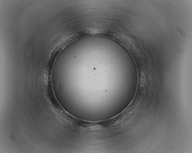 X0000115230210200911131650