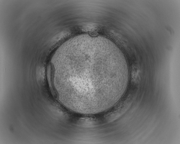 X0000115230211200911131650