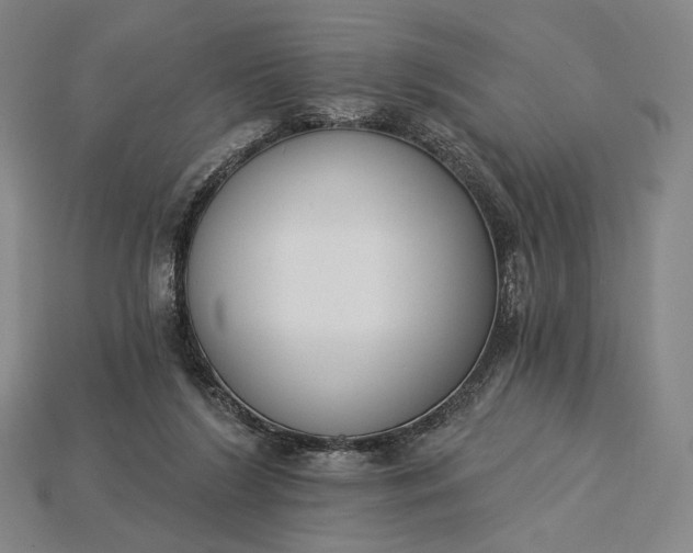 X0000115230212200911131650