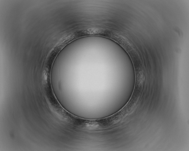 X0000115230214200911131650