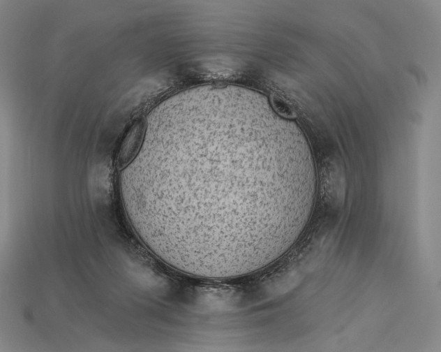 X0000115230215200911131650