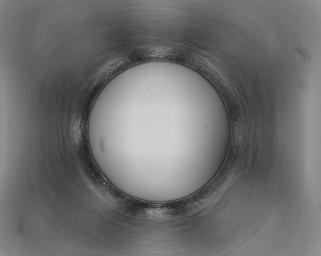 X0000115230216200911131650