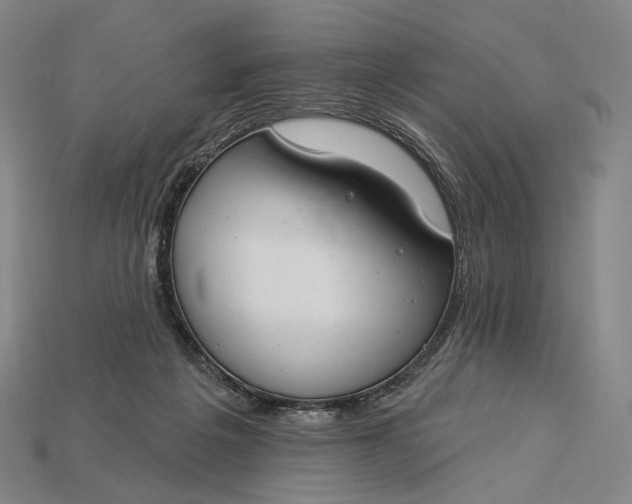 X0000115230217200911131650