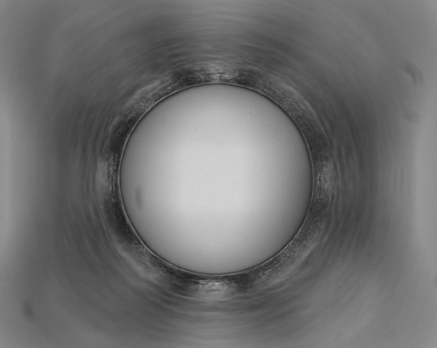 X0000115230218200911131650