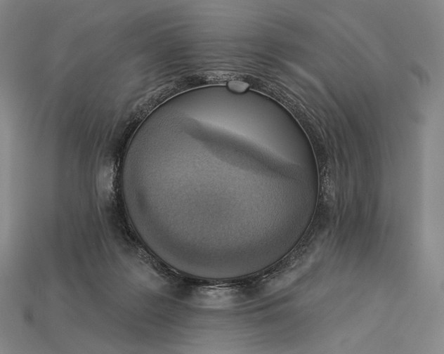 X0000115230219200911131650