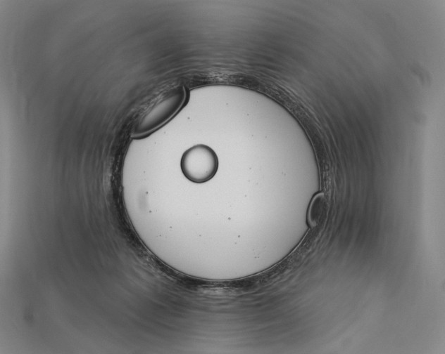 X0000115230221200911131650