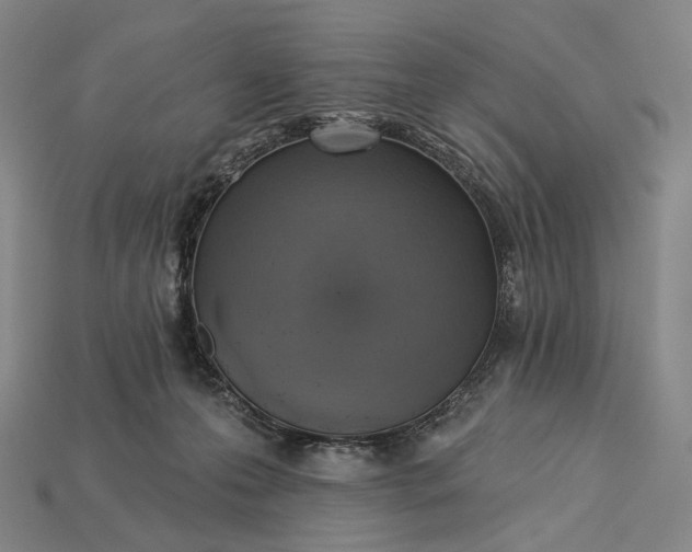 X0000115230223200911131650