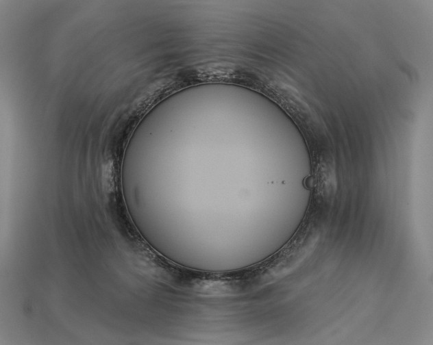 X0000115230224200911131650