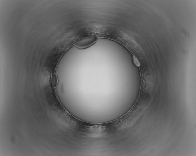 X0000115230225200911131650