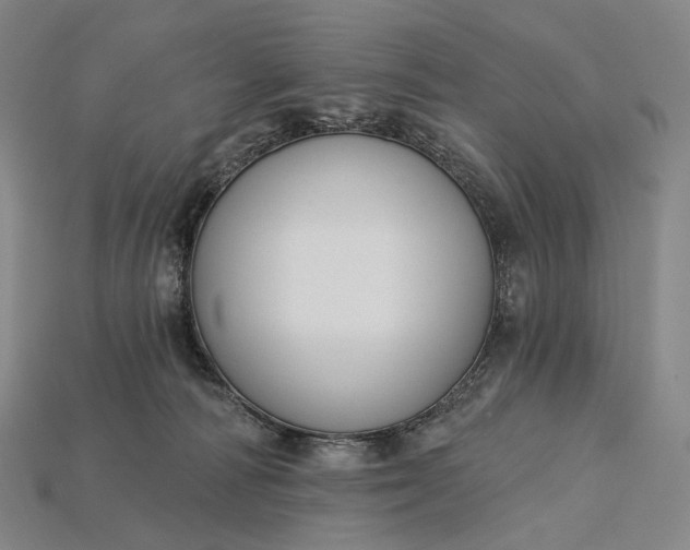 X0000115230226200911131650