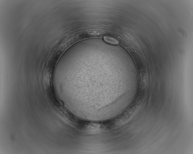 X0000115230227200911131650