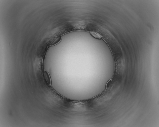 X0000115230229200911131650