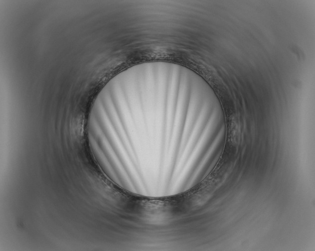 X0000115230230200911131650